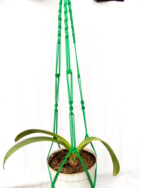 Green Macrame Plant Hanger - Large Macrame Plant Holder 40 Inches 3mm Strong Hanging Planter Planters Wall Hanger - image 1