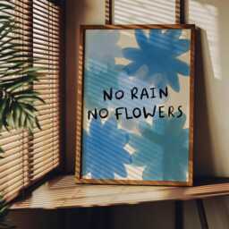 No Rain Flowers Unframed Print - Flower Prints Positive Posters Uplifting Art Feel-Good Happy Decor Wall - thumbnail 3