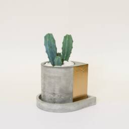 Concrete Drop Shape Mini Pot With Plate. Mini Concrete Planter - thumbnail 3