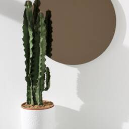 Orbis??? Bronze Tinted Round Contemporary Custom Frameless Mirror - Large, Xl - thumbnail 2