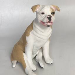 Custom American Bulldog Pet Memorial Urn Hand-Sculpted Clay Dog Portrait - thumbnail 2