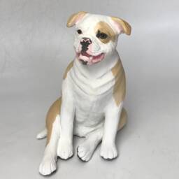 Custom American Bulldog Pet Memorial Urn Hand-Sculpted Clay Dog Portrait - thumbnail 3