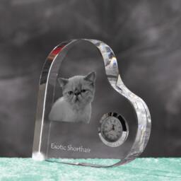 Exotic Shorthair - Crystal Clock in The Shape Of A Heart With Image Pure-Bred Cat - thumbnail 2
