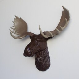 Faux Taxidermy Moose Head Wall Mount - Decor Espresso & Natural M2600 - thumbnail 2