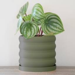 "Bubbly Planter With Drainage & Saucer in Army Green, Unique 3D-Printed Plant Pot, Small To Large Sizes 4"" 5"" 6"" 7"" 8" - thumbnail 2