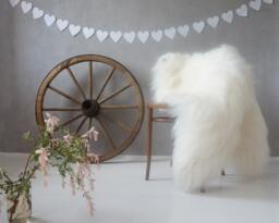 Giant White Icelandic Sheepskin Rug, Genuine Leather Throw - 52x32 - thumbnail 1
