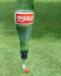 Hummingbird Feeder From Recycled Coke Bottle