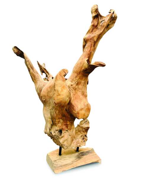 Mini Teak Root Forest Sculpture 60cm New Style - image 1