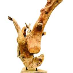 Mini Teak Root Forest Sculpture 60cm New Style - thumbnail 3
