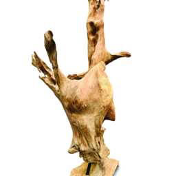 Mini Teak Root Forest Sculpture 60cm New Style - thumbnail 2