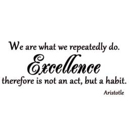 Vwaq We Are What We Repeatedly Do, Inspirational Wall Art Quote Vinyl Decal Decor - thumbnail 2