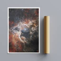 Cosmic Tarantula Nebula Print - Nasa James Webb Space Art - thumbnail 3