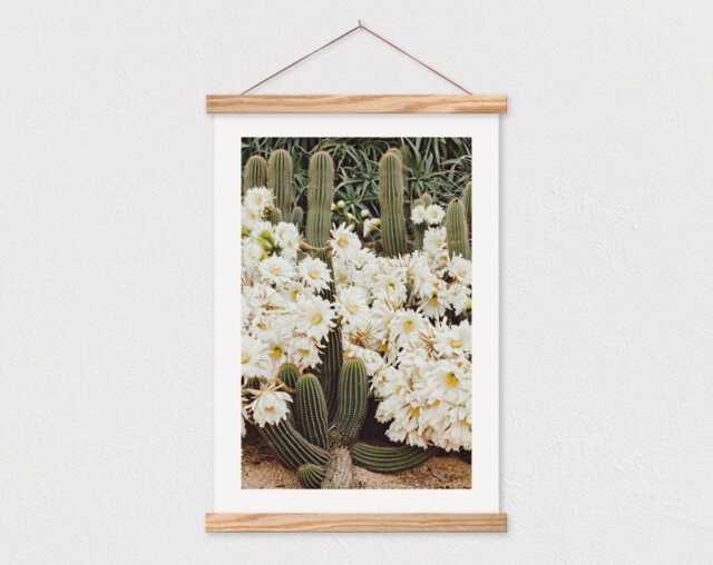 25 Inch Poster Hanger - White Flowering Cactus Canvas Print With Wood Hanger-Farmhouse Sign - Gift For Her - image 1