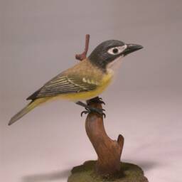 Black-Capped Vireo Wooden Carved Bird - thumbnail 2