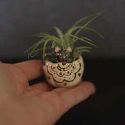 Boho Pumpkin Black Cat Ceramic Airplant Holder, Halloween Figurine, Animal Totem, Cat, Plant Clay Pumpkin - thumbnail 2