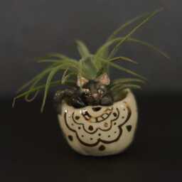 Boho Pumpkin Black Cat Ceramic Airplant Holder, Halloween Figurine, Animal Totem, Cat, Plant Clay Pumpkin - thumbnail 1