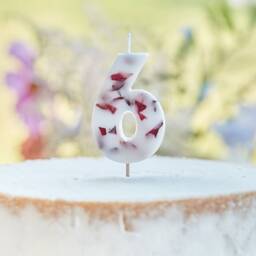 Pressed Petal Birthday Candles Numbers Party Cake Decorations Floral Lets Partea Age 1 2 3 4 5 6 7 8 9 0 - thumbnail 3