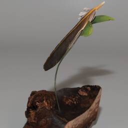Hand-Carved Northern Flicker Feather Suspended By Young Buckthorn Plant - thumbnail 3