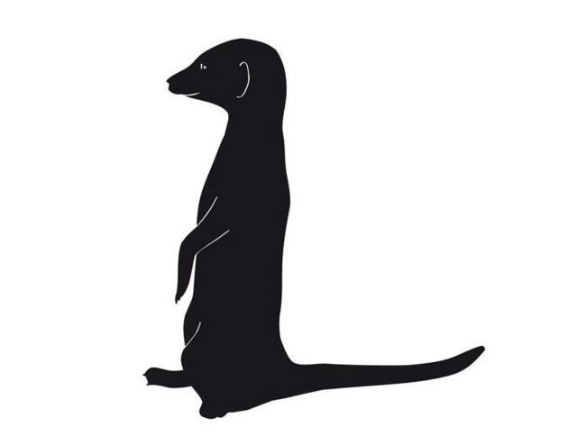Meerkat Wall Decal Cute Animal Sticker Suitable For Nursery Art Or Kids Room Decor - Safari Boys Girls - image 1