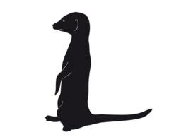 Meerkat Wall Decal Cute Animal Sticker Suitable For Nursery Art Or Kids Room Decor - Safari Boys Girls