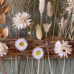 Golden Botanical Hoop - Minimalist Dried Flower Wall Art With White Everlastings & Wheat - Neutral Boho Home Decor Gift - thumbnail 2