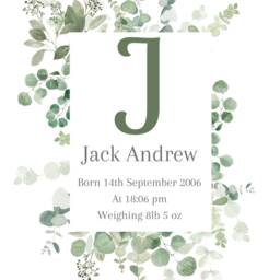 Children's Nursery Initial Print - Eucalyptus Greenery Neutral Children's Room Gift New Baby Name Birth Info - thumbnail 2