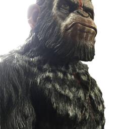 Cesar Bust- Dawn Of The Planet Apes - Resin Statue - thumbnail 2