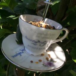 Teacup Bird Feeder, Silver Anniversary Gift, Vintage Garden Decor - thumbnail 3