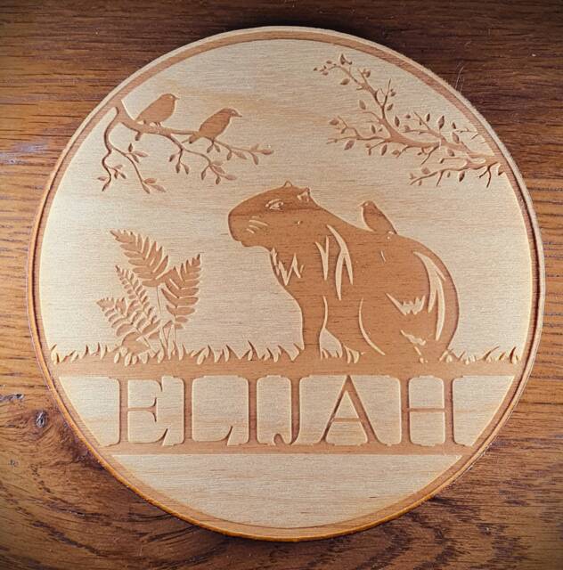Personalised Wood Bedroom Door Sign With Capybara Design - image 1