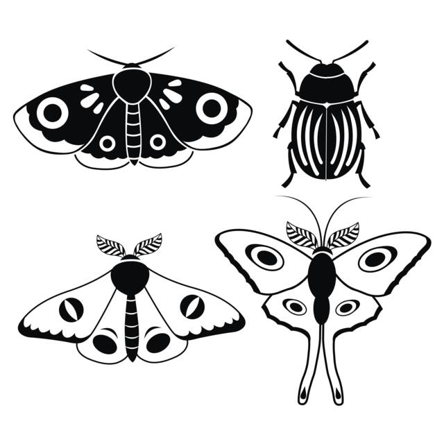 Set Of 4 Bug Decals // Beetle Decal Moth Moon Stickers Laptop Kids Room Wall Art Car - image 1
