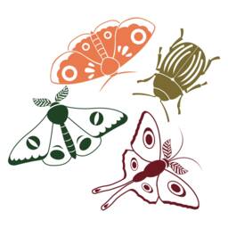 Set Of 4 Bug Decals // Beetle Decal Moth Moon Stickers Laptop Kids Room Wall Art Car - thumbnail 2