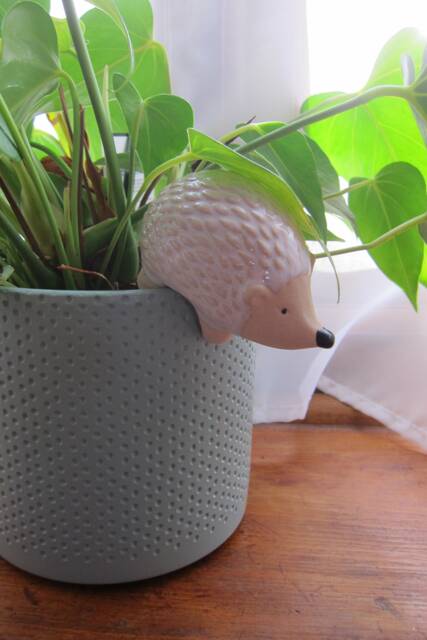 Hedgehog Plant Pot Hanger 11cm, Christmas Present, Stocking Filler, Secret Santa - image 1