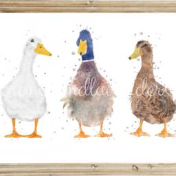 Watercolour Duck Print, Trio Of Prints, Wall Art, Painting, Gifts, Illustration, Country Home Decor, Kitchen Art - thumbnail 2