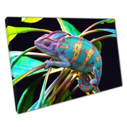 Colorful Chameleon Canvas Print Vibrant Reptile Nature Wall Art For Home & Office Decor - thumbnail 1