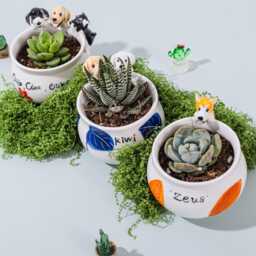 Custom Pet Succulent Planter, Handmade Ceramic Dog/Cat Flower Pot, Memorial Gift For Lovers, Wedding Bridesmaid Gift, Teacher Gift - thumbnail 2