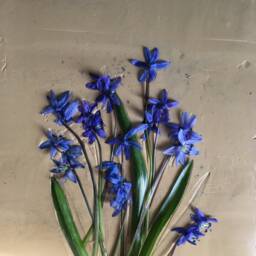 Tile Scilla Cast. Botanical Decorative Unique Plaster Wall Art Fram?? Wood Concrete Impression Snowdrop Pressed Flowers Eco Friendly - thumbnail 4