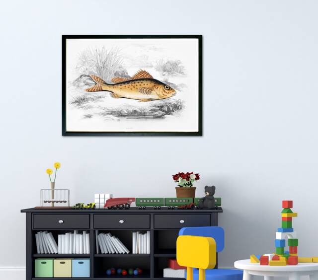 Vintage Fish Illustration Print, 19Th Century Children's Wall Art - image 1