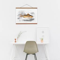 Vintage Fish Illustration Print, 19Th Century Children's Wall Art - thumbnail 3