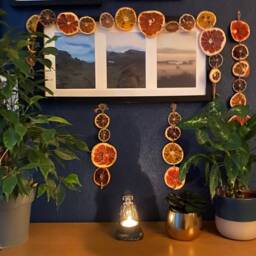 Dried Citrus Fruit Garland. Rustic, Plastic, Sustainable Christmas - thumbnail 4