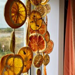 Dried Citrus Fruit Garland. Rustic, Plastic, Sustainable Christmas - thumbnail 2
