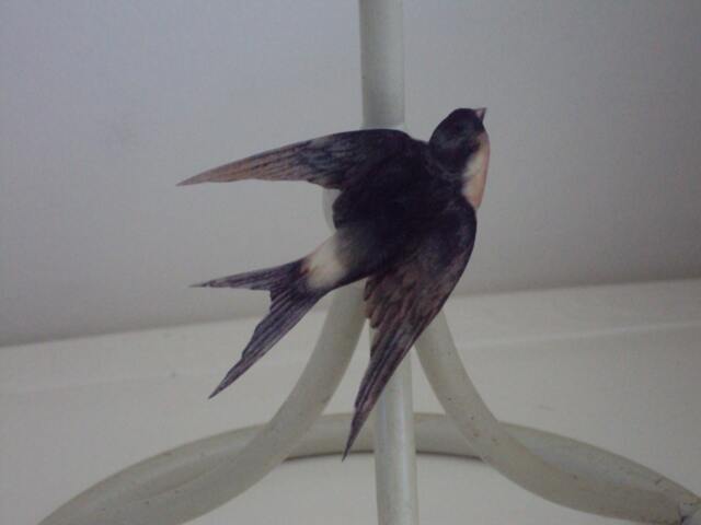3D Swallow Wall Art Lucky Bird Home Decor, Wedding Decorations - image 1