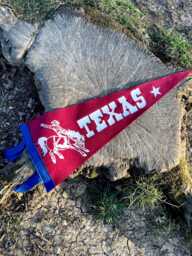 Texas Cowboy Pennant Flag/Felt Pennant Country Singer Hat Wild West Western Wall Hanging Lone Star State - thumbnail 1