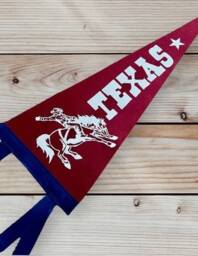 Texas Cowboy Pennant Flag/Felt Pennant Country Singer Hat Wild West Western Wall Hanging Lone Star State - thumbnail 3