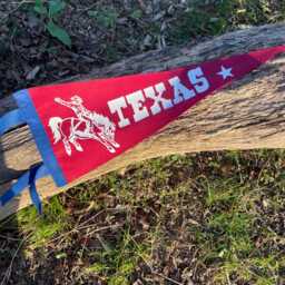Texas Cowboy Pennant Flag/Felt Pennant Country Singer Hat Wild West Western Wall Hanging Lone Star State - thumbnail 2