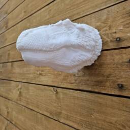 Nanuqsaurus Head Wall Art - Dinosaur Mount- 3D Printed - thumbnail 3