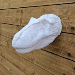 Nanuqsaurus Head Wall Art - Dinosaur Mount- 3D Printed - thumbnail 1