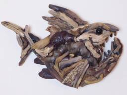 Handmade Driftwood Wall Art - Quirky Fish By Lyme Bay Art - thumbnail 1
