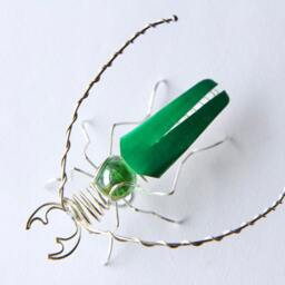 Psalidognathus Friendi Large Wall Mounting South American Green Beetle - thumbnail 3