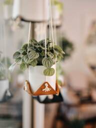 Leather Plant Hammock Hanging Macrame Hanger Modern Holder Indoor Sling Boho Planter Minimalist Home - thumbnail 1