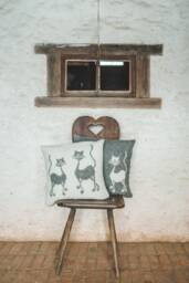 40x40 cm Pillow Cushion, Natural Wool New Zealand 100%, Double-Sided Cover, Cats, Anti-Allergic - thumbnail 1